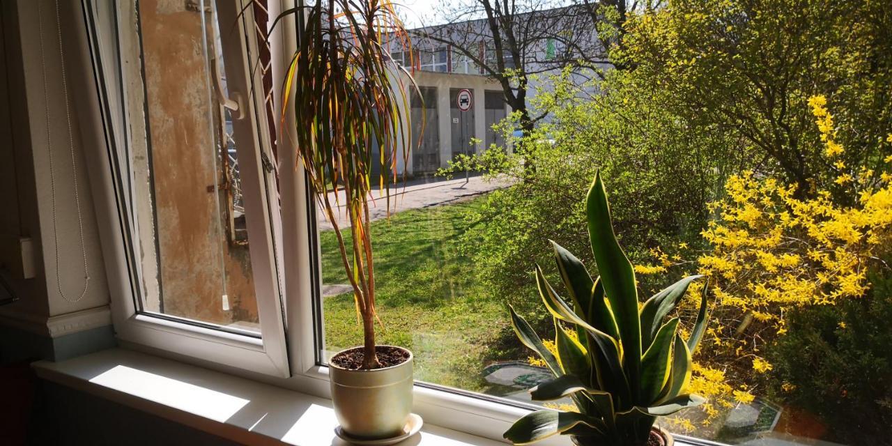 Kambariu Nuoma Kaune - Kowno Zewnętrze zdjęcie